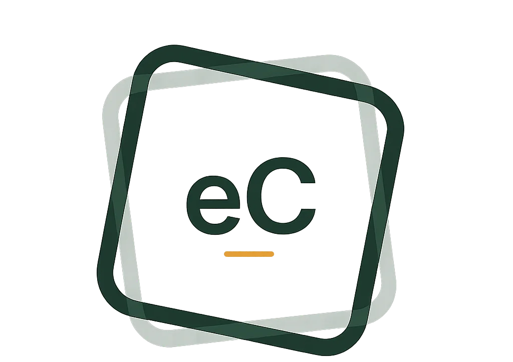 Ecommerce Consultants